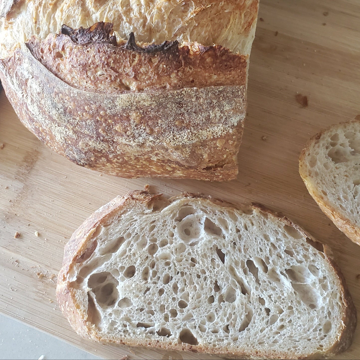 Sourdough Loaves